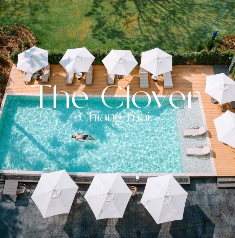 Eine Gruppe weißer Sonnenschirme steht um einen Swimmingpool herum in der Unterkunft The Clover in Chiang Mai