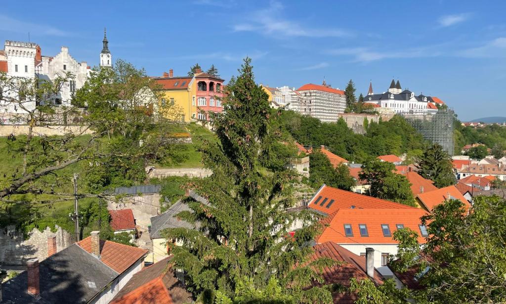 a view of a city with buildings and trees at Monbuhim Four in Veszprém