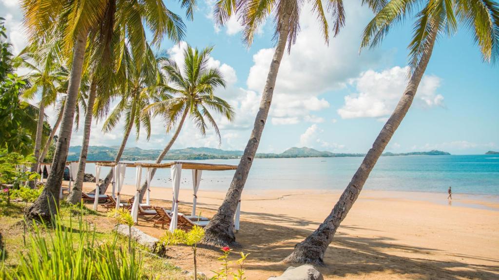 a beach with palm trees and the ocean at Ampasoa Beach in Nosy Be