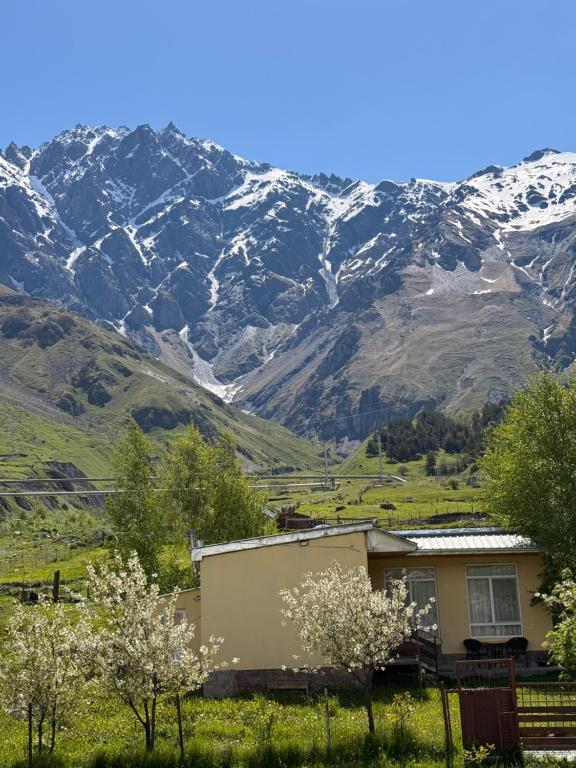 a house in a field with mountains in the background at Little house Kazbegi in Kazbegi