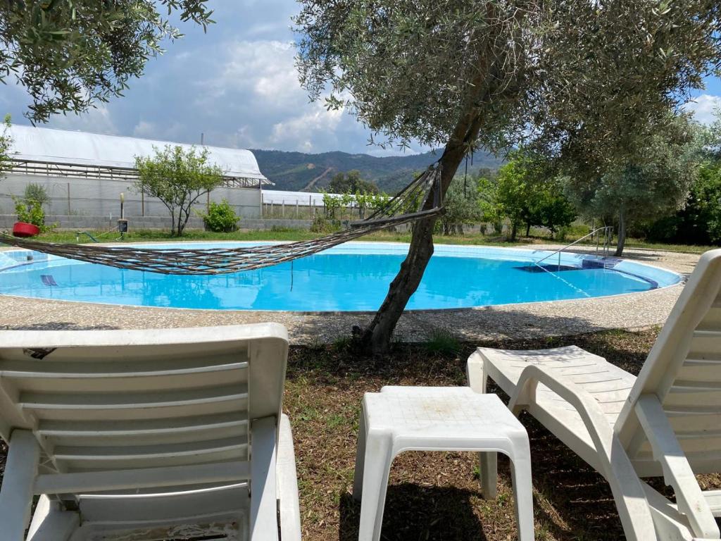 a hammock and two chairs in front of a pool at Magic Camp&Bungalow in Fethiye