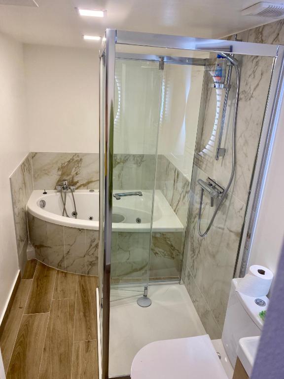 a bathroom with a shower and a toilet and a sink at Studio vieille porte in Hombourg-Haut