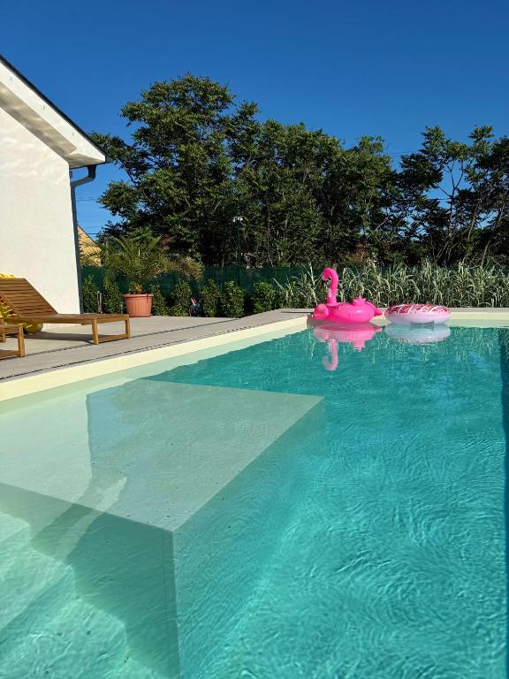 a swimming pool with a pink float in the water at HelloHal Házak in Tiszafüred