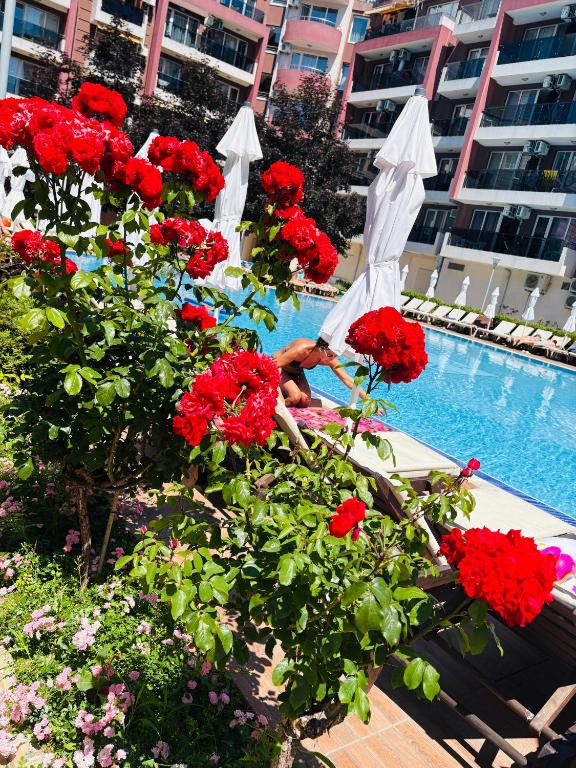 a group of red flowers next to a swimming pool at ADMIRAL PLASA studiyo-25C in Sunny Beach