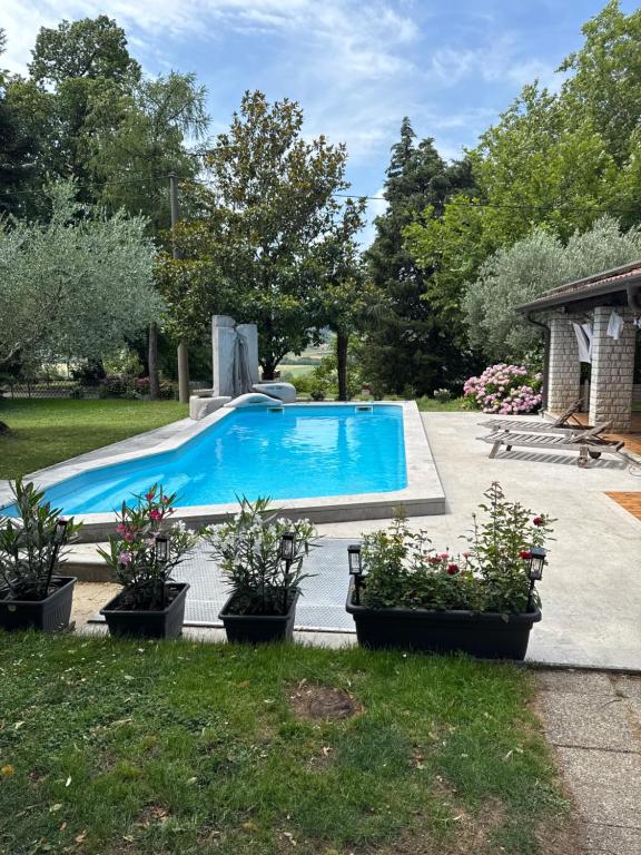 a swimming pool in a yard with potted plants at Božič Residence in Vipava