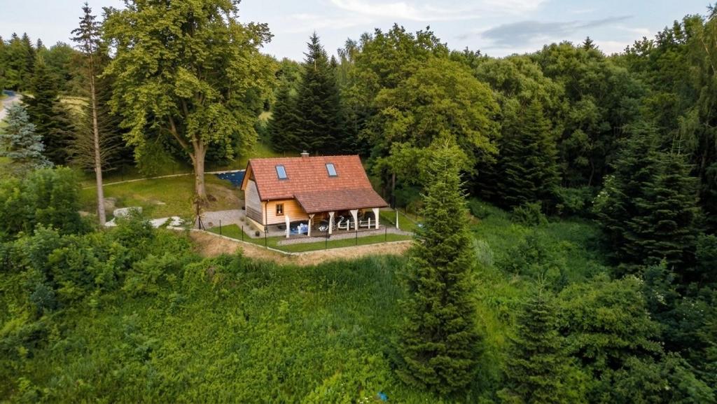 an aerial view of a house in the woods at Domek - Na Lipę in Błażowa