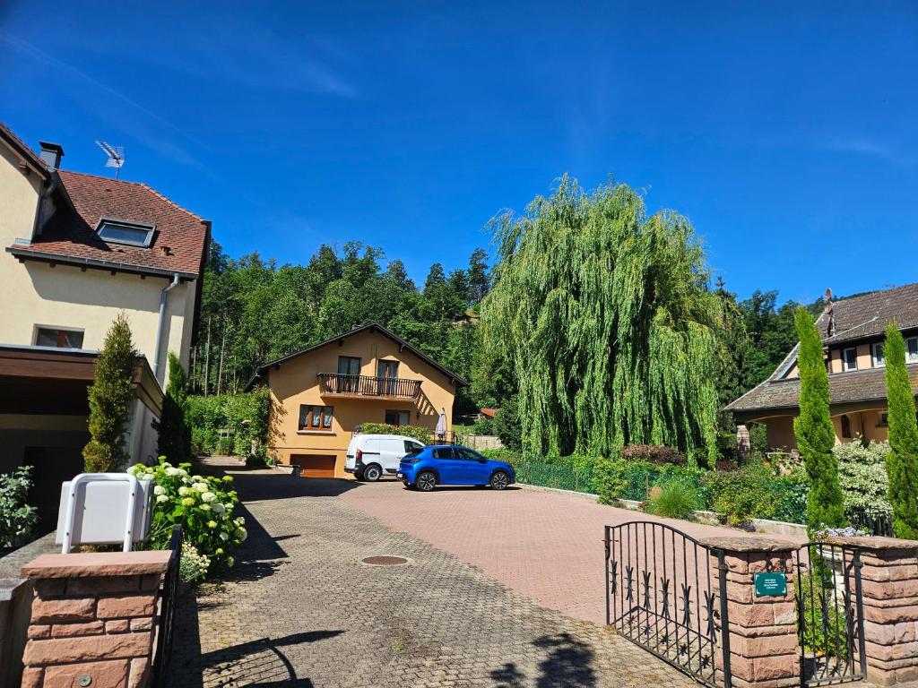 la Parenthèse Kaysersberg – photo 5