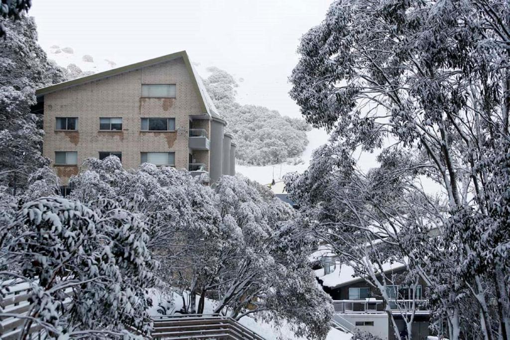 a building covered in snow in front of trees at Alpine View Apartments in Falls Creek