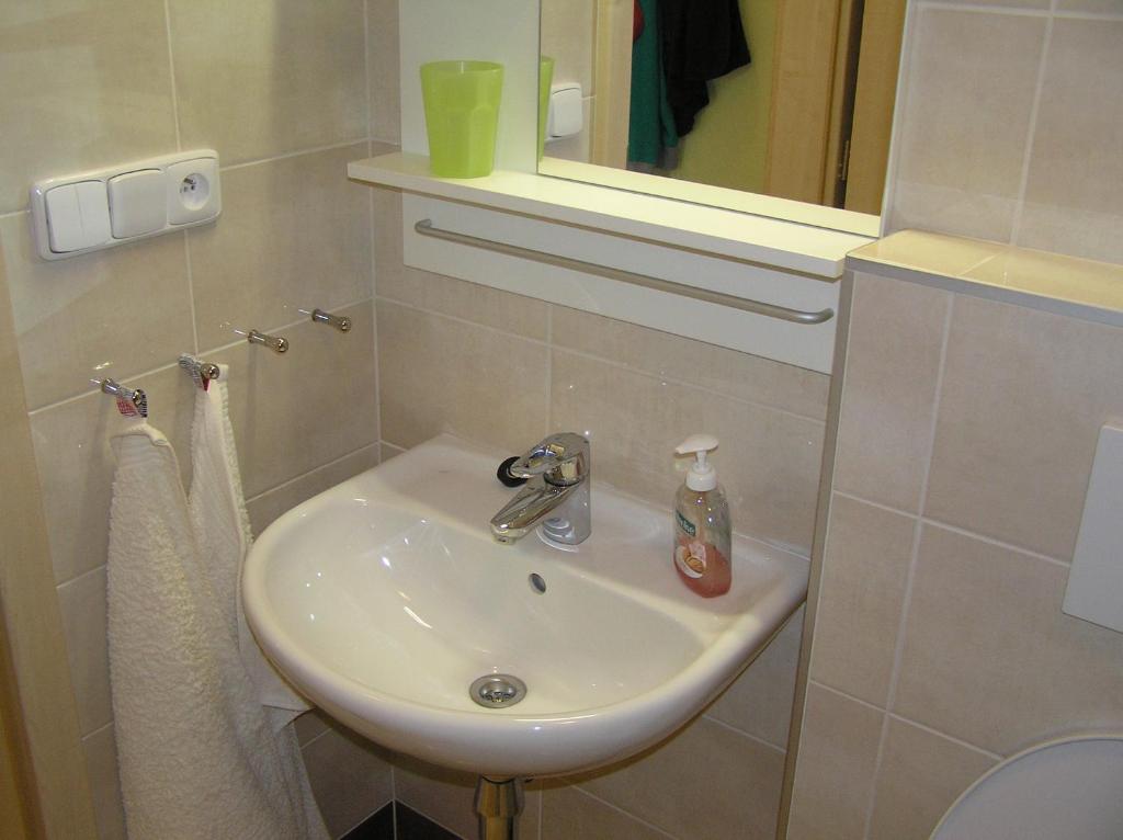 Koupelna v ubytování Apartment Třeboň