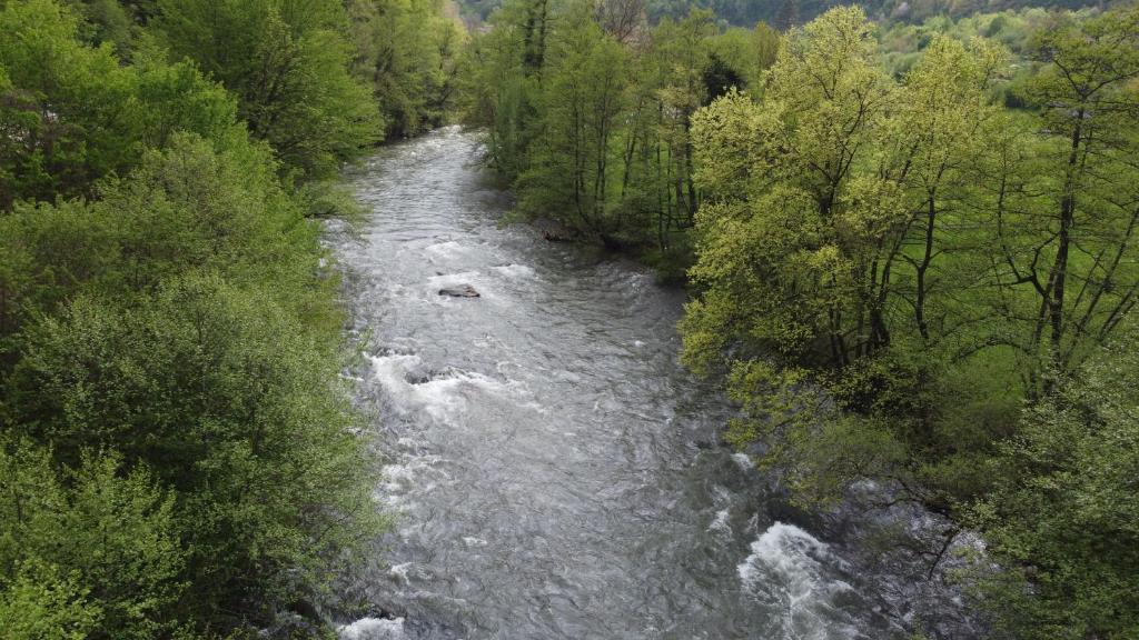 an aerial view of a river in a forest at Villa EMELA in Jajce