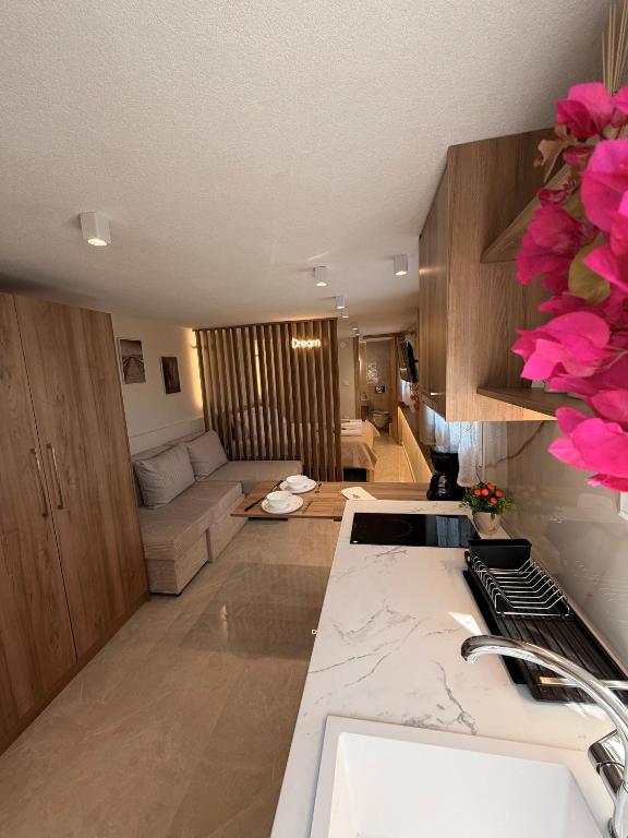 a kitchen and living room with a stove and a couch at MANDARIN Luxury Suites in Asprovalta