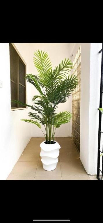 a plant in a white vase sitting on a floor at Five Star Meekness Hotel LTD in Oviri