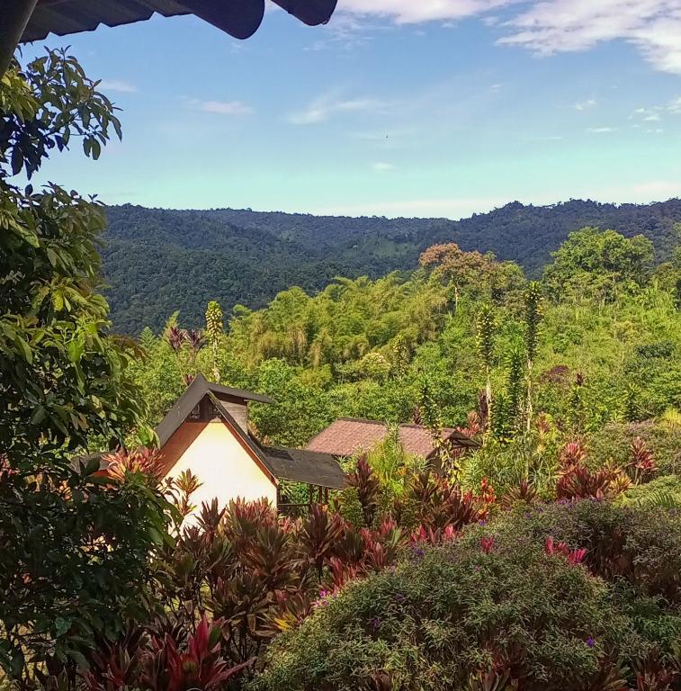 a house in the middle of a lush green hillside at Mirador Mindo in Mindo