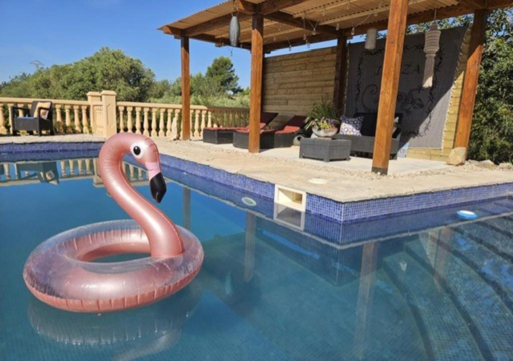 a swimming pool with a swan float in the water at Garden Suite Vila Girasoles in Cálig