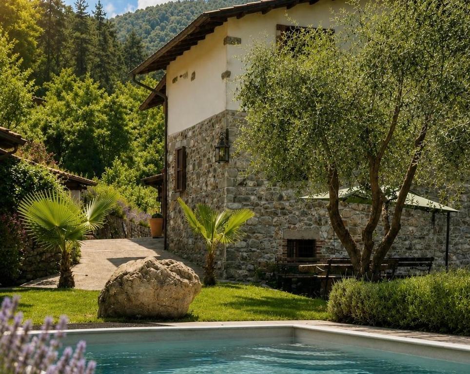 a house and a swimming pool in front of a house at MULINO VECCHIO in Minucciano