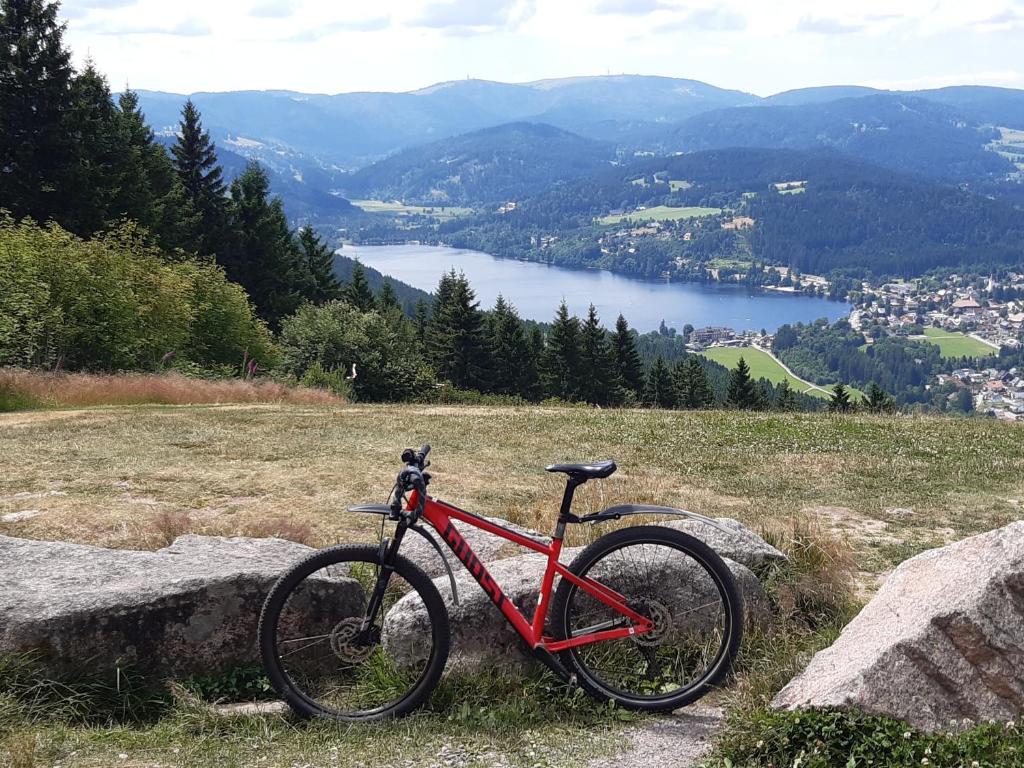a red bike parked on top of a hill at Kopffrei auf 1000 m Wohnung 2 in Feldberg