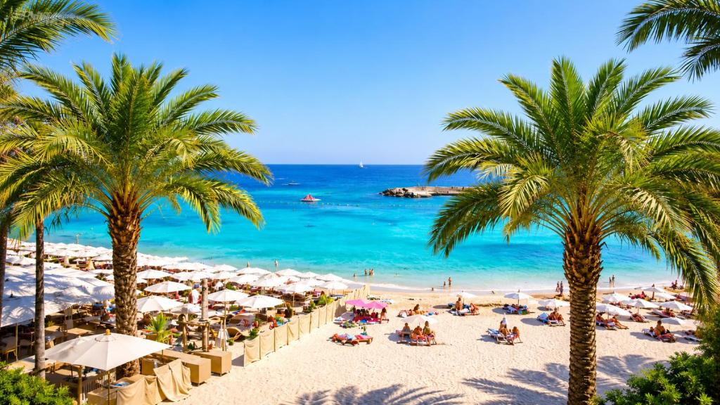 a beach with palm trees and people sitting on the sand at Princess Palace Monaco in Monte Carlo