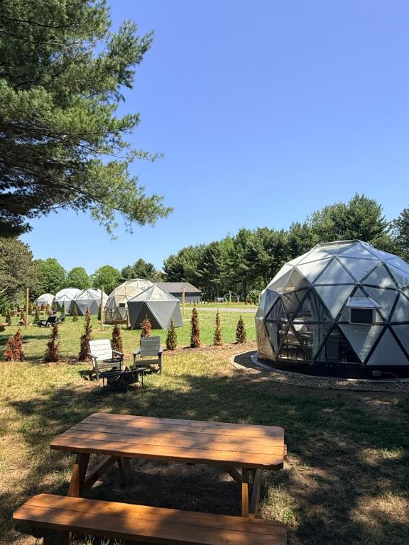 a group of tents in a field with a picnic table at Dome Haven Glamping in South Haven