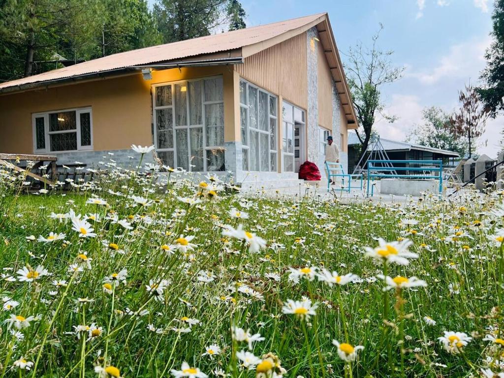 a house with a field of flowers in front of it at Haven Daisy Meadows - 2BR Cottage with Lawn in Changla Gali in Chhāngla Gali