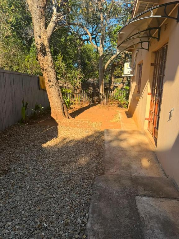 a tree sitting next to a building next to a sidewalk at Root&Roam Nature in Malelane