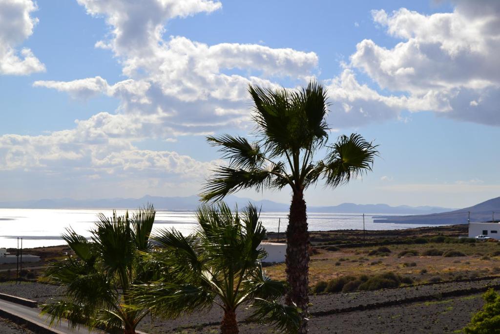 a group of palm trees on the beach at Apartamento La Finca in Mácher