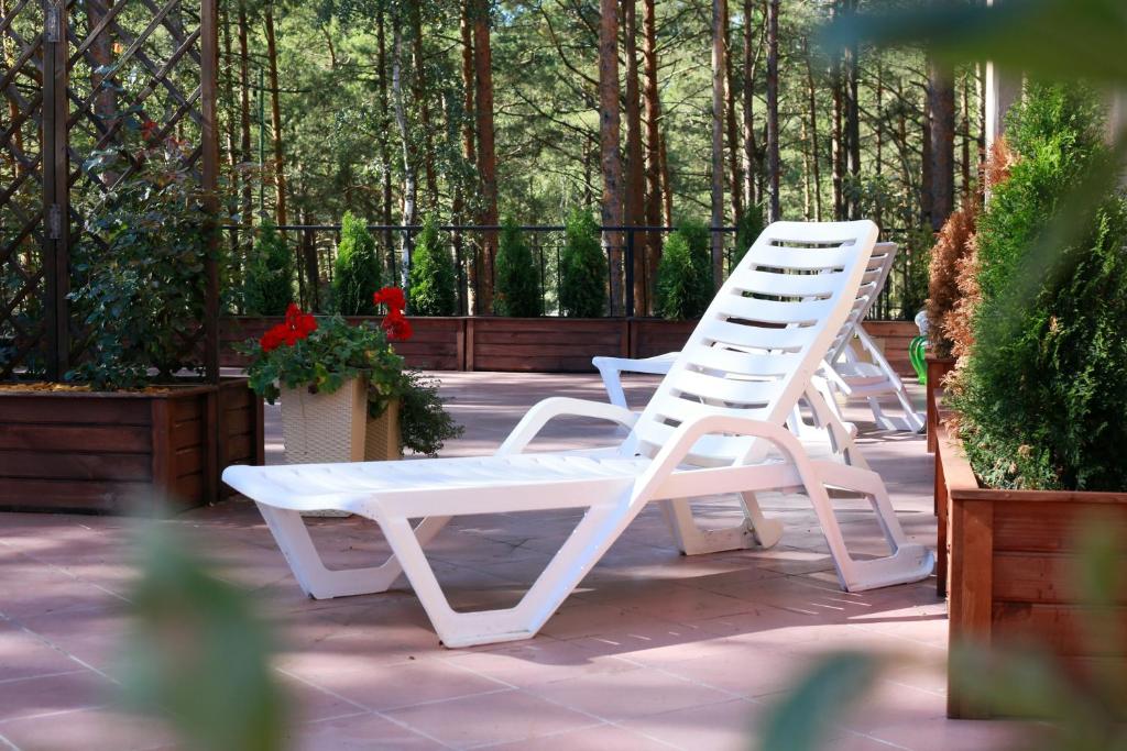 Zahrada ubytování Paradiso Park