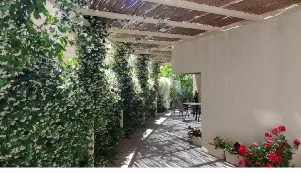 a patio with a wall covered in ivy at Bitra hermon suites in Mas'ada