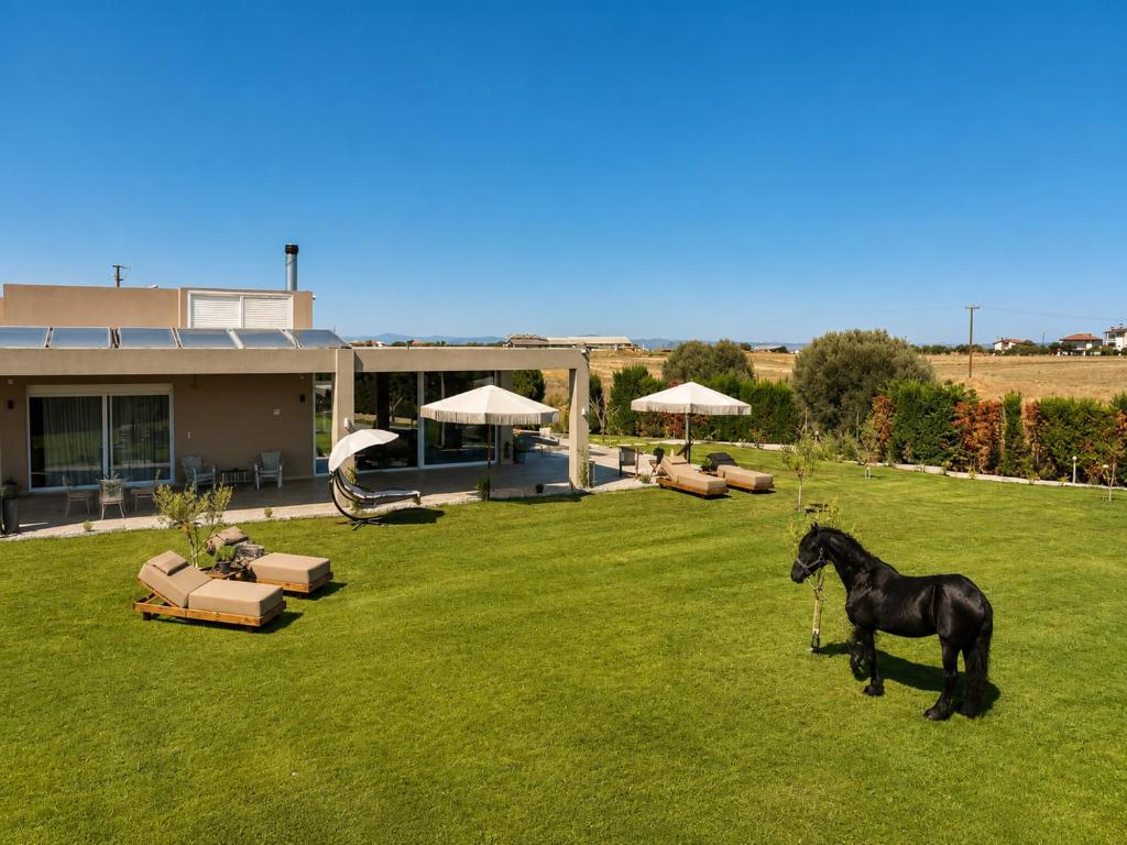 a horse standing in the grass in front of a building at GF Luxury Villa with indoor pool -Afytos in Afitos