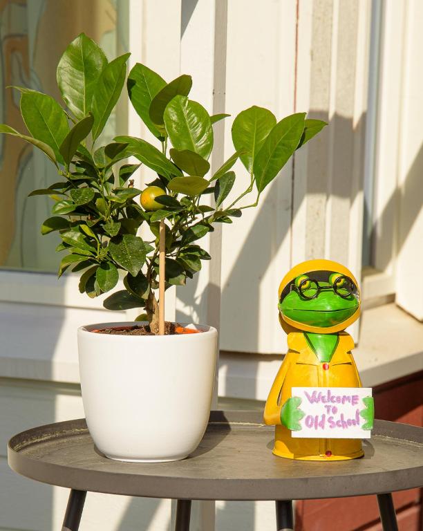 a small table with a plant and a toy on it at Old School in Suolahti