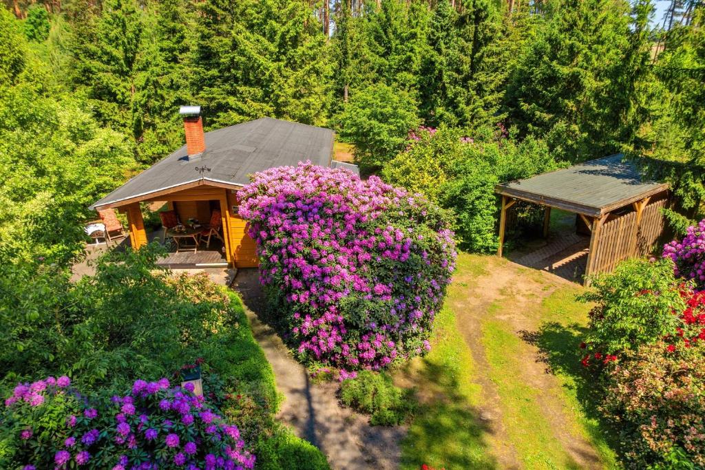 an aerial view of a small house with flowers at Ortheide 67 in Böddenstedt
