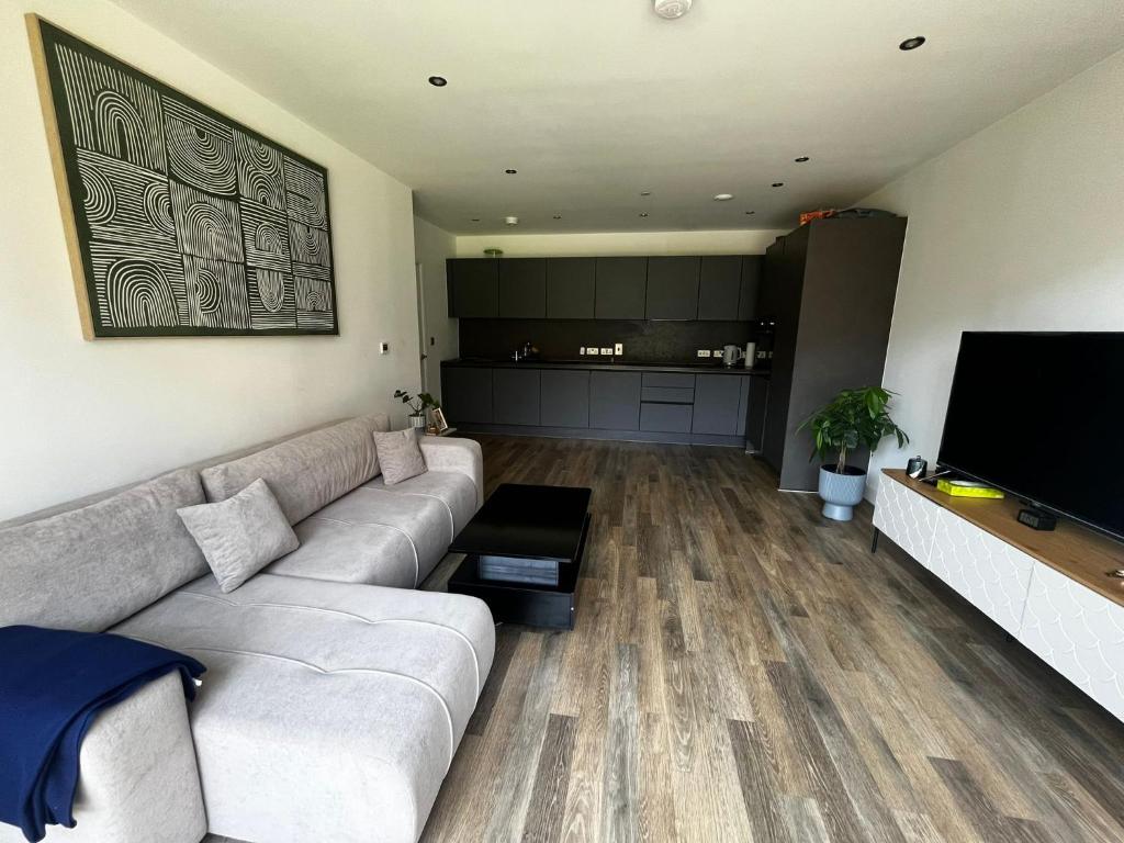 a living room with a couch and a flat screen tv at sPARSH in London