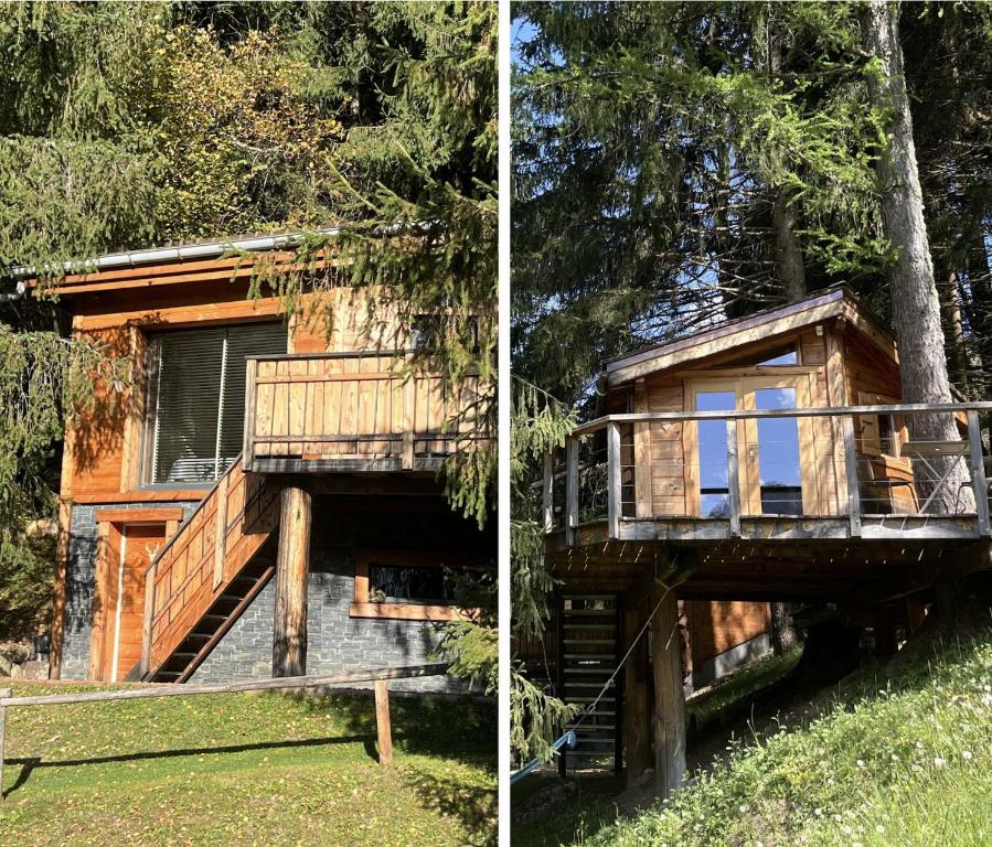 a cabin in the woods with a staircase and a tree at Entre les Arbres in Saint-Jean-d'Aulps