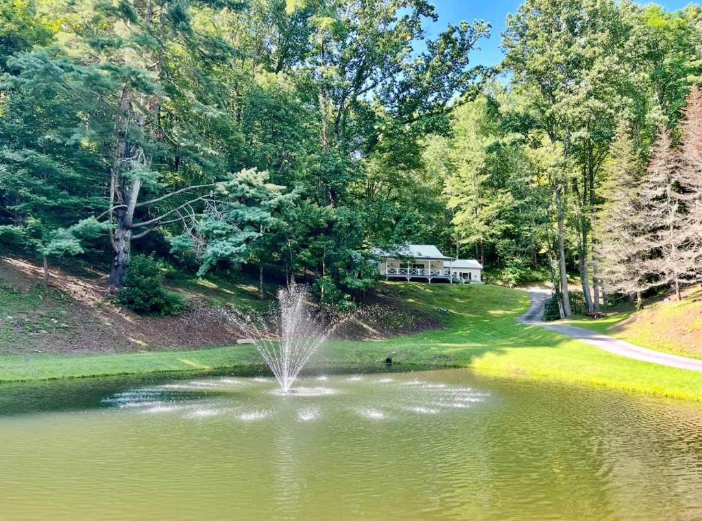 a fountain in a pond in front of a house at Dragonfly Cabin in Scaly Mountain