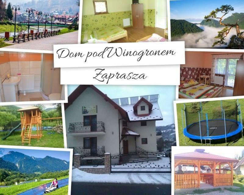 a collage of different pictures of a house at Dom pod Winogronem in Szczawnica