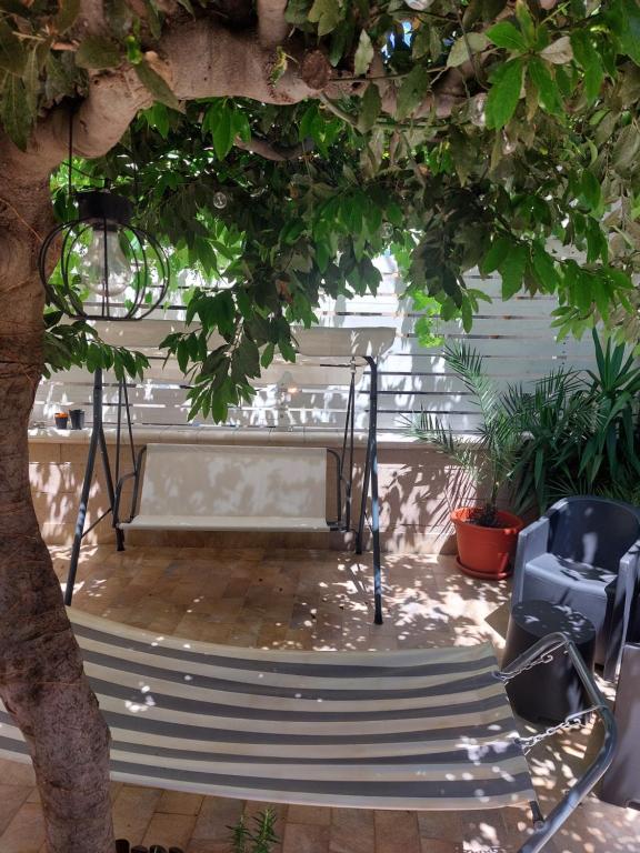 a patio with two chairs and a tree at La casetta di Rosa - Lentella in Lentella