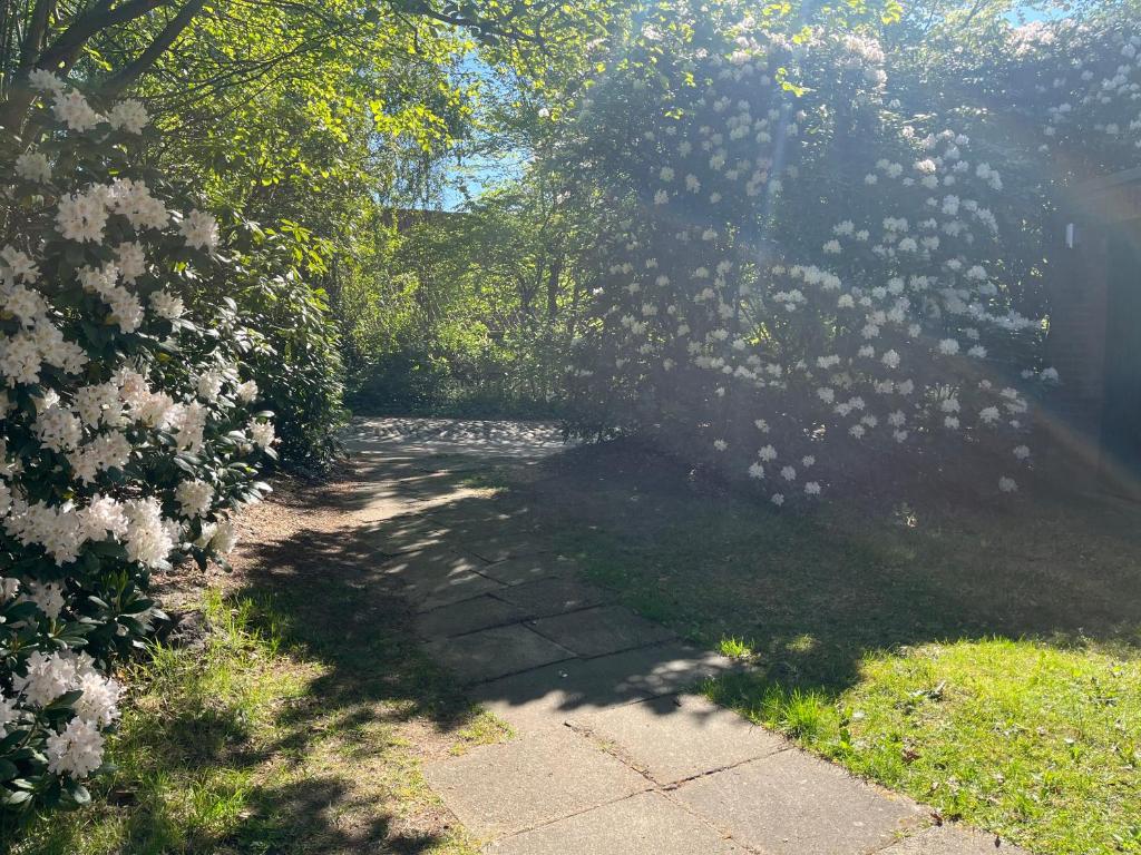 a garden with a walkway with flowers and trees at Ruhiges Ferienhaus direkt am Wald in Hechthausen