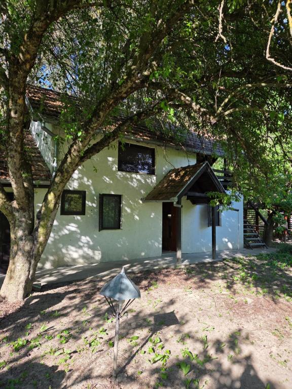 a small white building with a tree in front of it at SaDa Riverside in Apatin