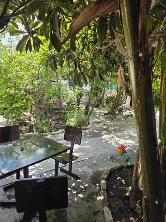 a picnic table in a garden with a tree at Casa Amarilla Tecámac in Santa Cruz Tecamac