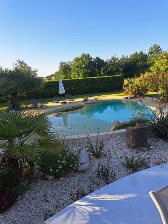 a swimming pool in a garden with chairs and plants at Villa Marius in Albi
