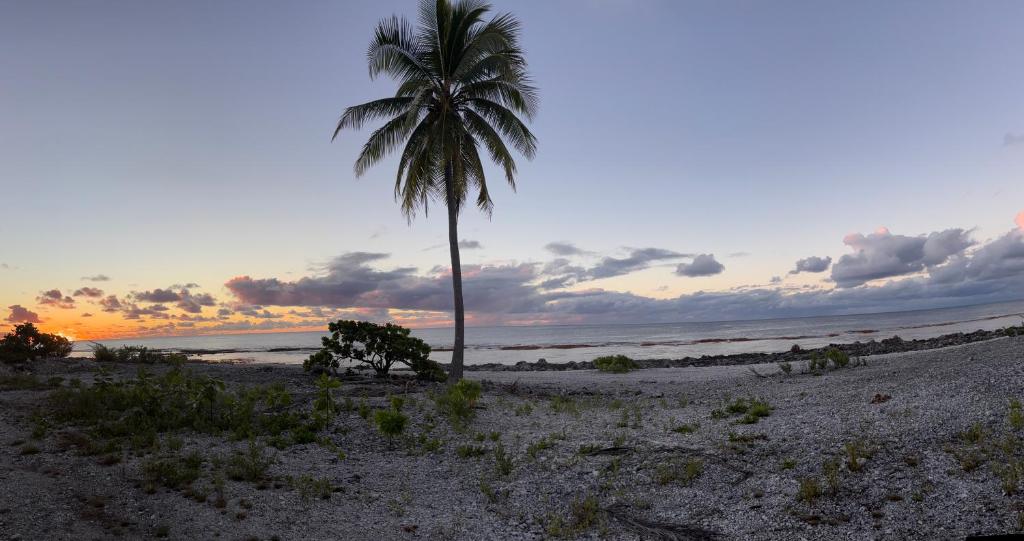 Faatiarau Fakarava - photo 12 - Fakarava, Polynésie