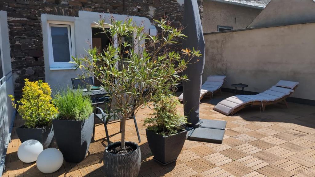 a patio with potted plants and a couple of benches at Terrasse der Ruhe im Alten Winzerhaus am Calmont in Bremm