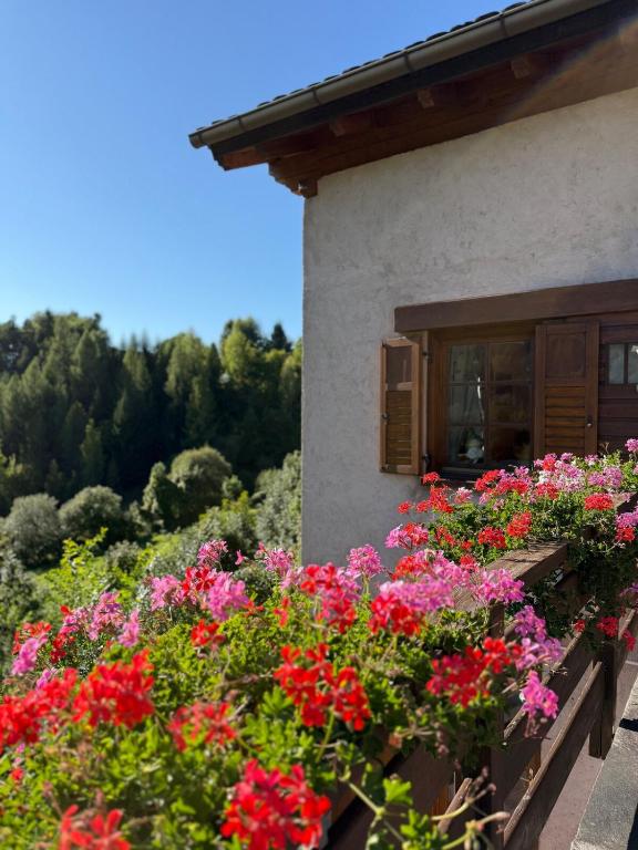 a window of a house with flowers in front of it at Villetta Ximenes in Panchià
