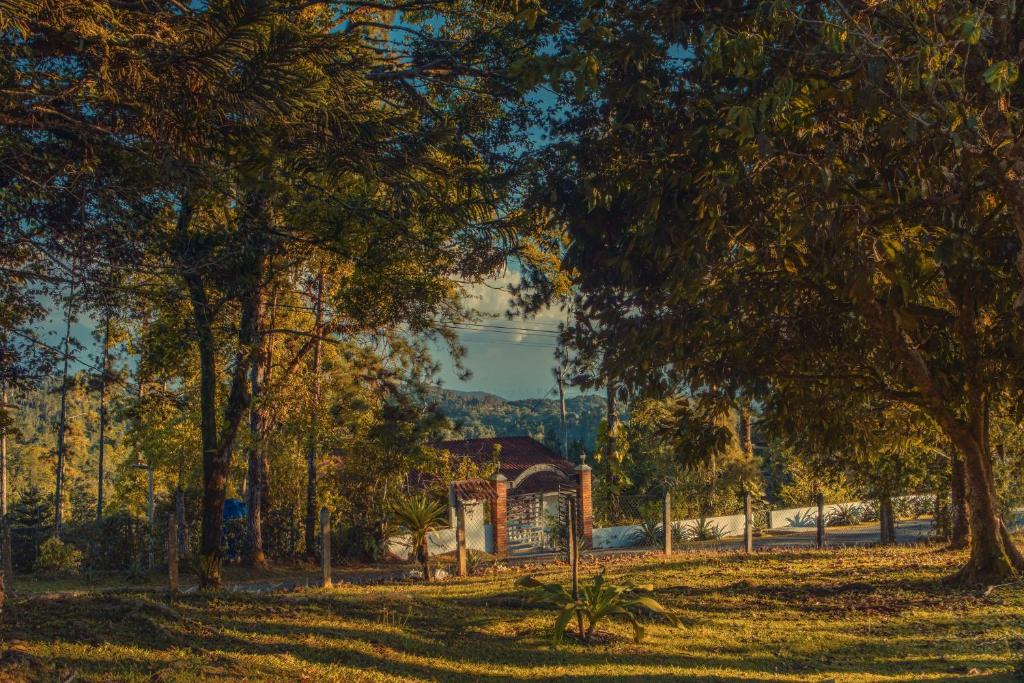 a building in the middle of a field with trees at MountainzenEscape in Los Altos de Cerro Azul