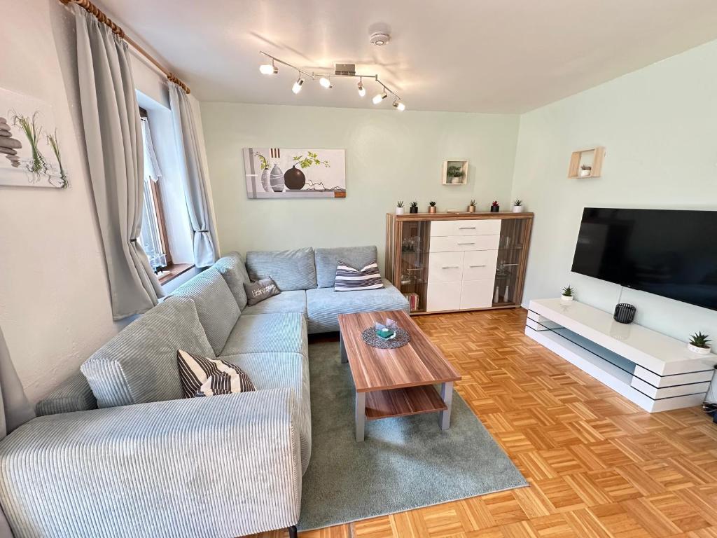 a living room with a couch and a tv at Ferienwohnung mit Kamin - Hunde willkommen in Falkenstein