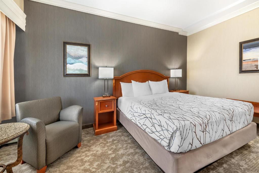 Best Western Plus Silver Saddle Inn photo