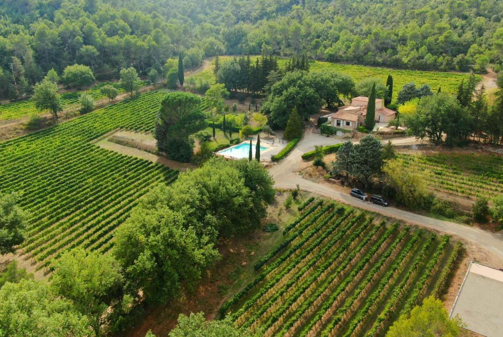an aerial view of a vineyard with a house and a pool at Bastide de Fave in Brue-Auriac