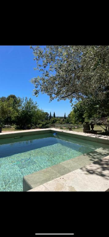 a large pool of water with a tree in the background at Villa la Roma in Aix-en-Provence