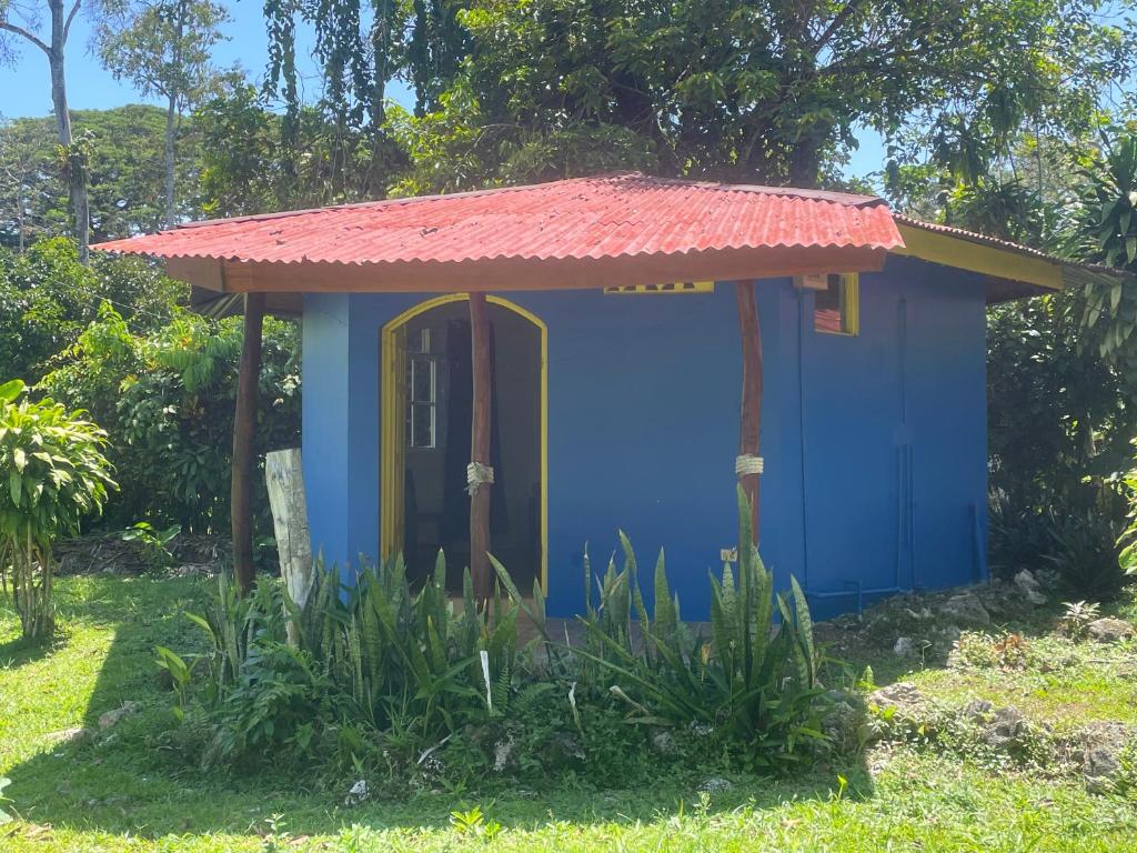 a small blue house with a red roof at Colibri Paradise in Cahuita