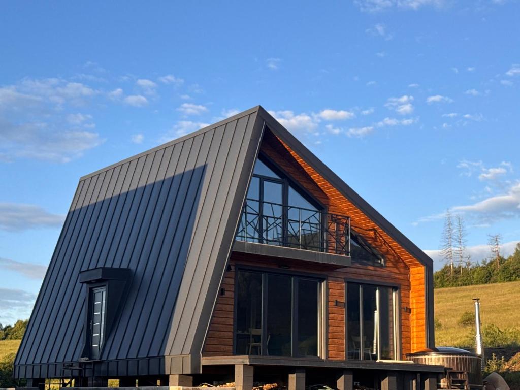 a house with a metal roof at Barnhouse VOLOVETS in Volovets