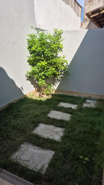 a green bush sitting next to a wall with a plant at Casa Real in Guarapari